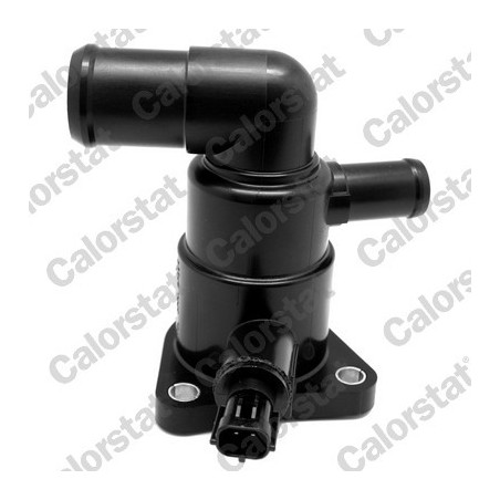 Thermostat d'eau CALORSTAT...