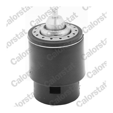 Thermostat d'eau CALORSTAT...