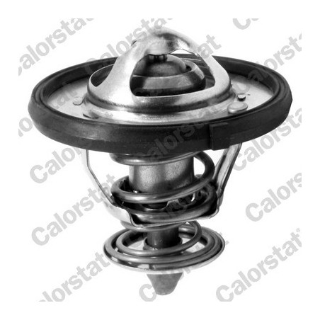 Thermostat d'eau CALORSTAT by Vernet