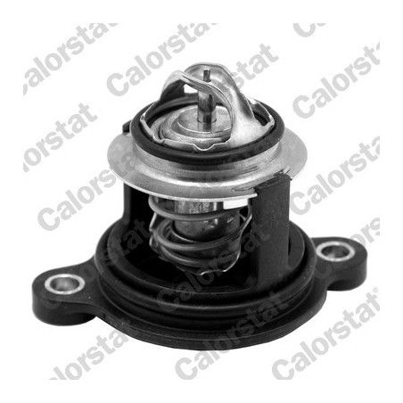 Thermostat d'eau CALORSTAT by Vernet