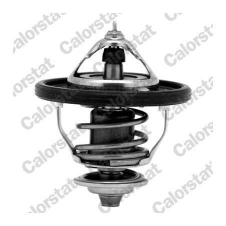 Thermostat d'eau CALORSTAT...