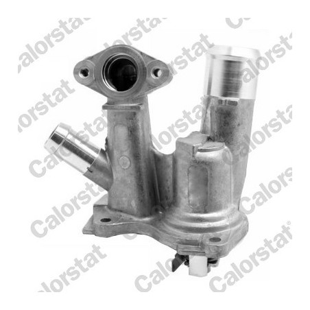 Thermostat d'eau CALORSTAT...