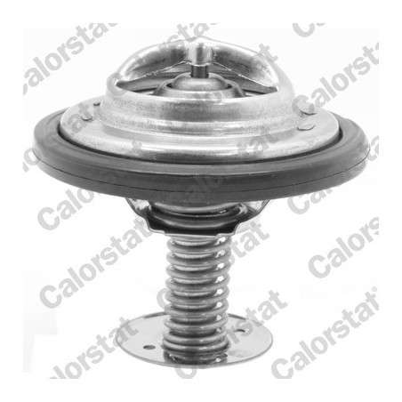 Thermostat d'eau CALORSTAT...