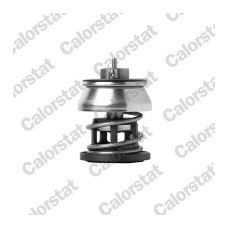 Thermostat d'eau CALORSTAT...