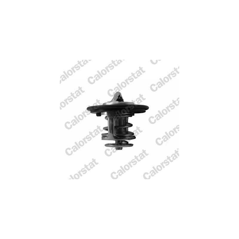 Thermostat d'eau CALORSTAT by Vernet
