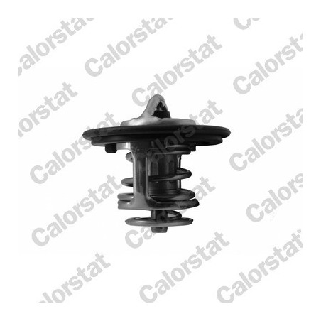 Thermostat d'eau CALORSTAT...