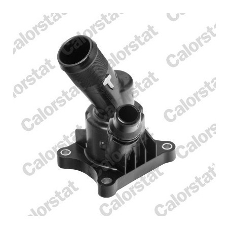 Thermostat d'eau CALORSTAT...