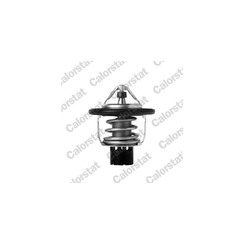 Thermostat d'eau CALORSTAT by Vernet