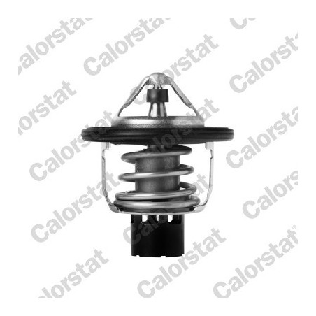 Thermostat d'eau CALORSTAT...