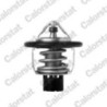 Thermostat d'eau CALORSTAT by Vernet