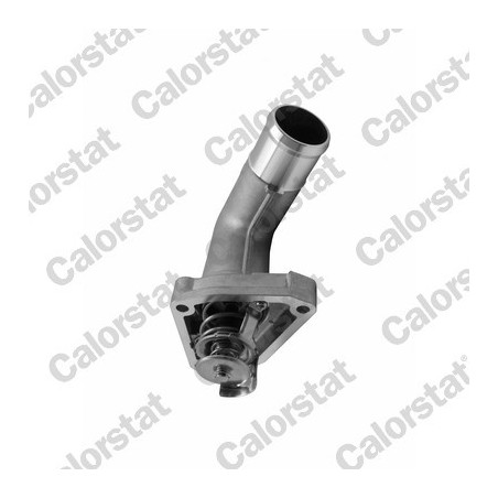 Thermostat d'eau CALORSTAT...