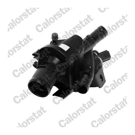 Thermostat d'eau CALORSTAT...