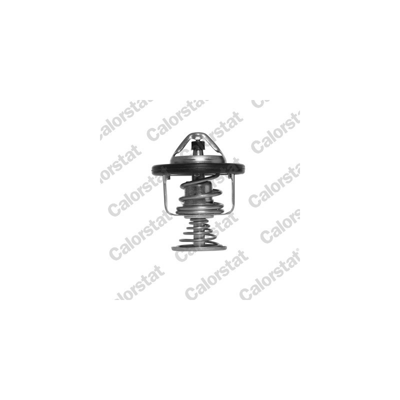 Thermostat d'eau CALORSTAT by Vernet