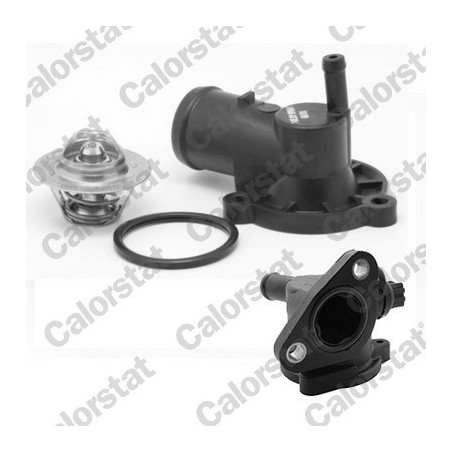 Thermostat d'eau CALORSTAT...
