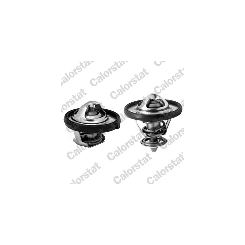 Thermostat d'eau CALORSTAT by Vernet