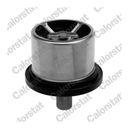 Thermostat d'eau CALORSTAT by Vernet