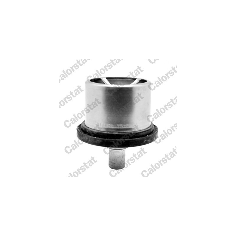 Thermostat d'eau CALORSTAT by Vernet