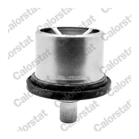 Thermostat d'eau CALORSTAT by Vernet