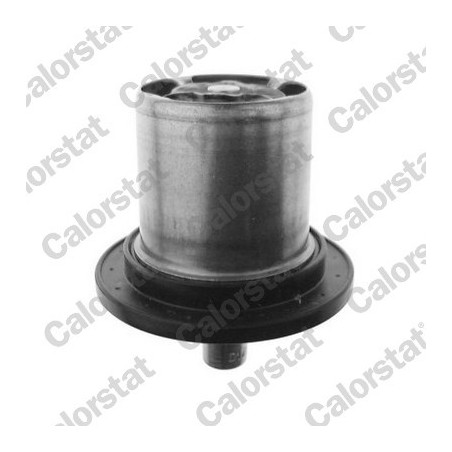 Thermostat d'eau CALORSTAT by Vernet