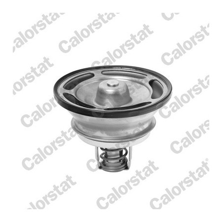 Thermostat d'eau CALORSTAT by Vernet