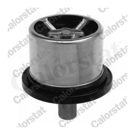 Thermostat d'eau CALORSTAT by Vernet