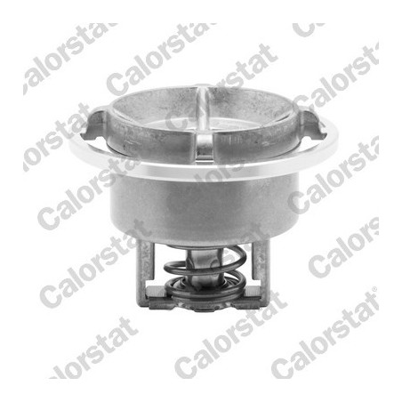 Thermostat d'eau CALORSTAT by Vernet