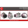 Compresseur de climatisation CASCO
