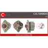 Alternateur CASCO