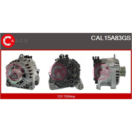 Alternateur CASCO