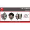 Alternateur CASCO