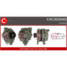 Alternateur CASCO