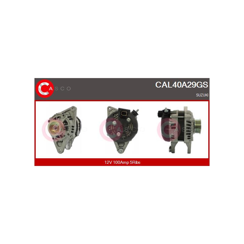 Alternateur CASCO