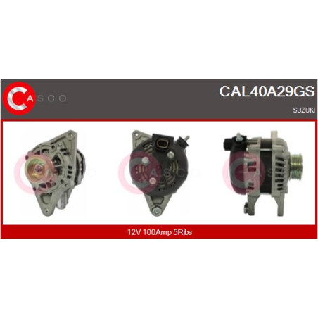 Alternateur CASCO