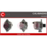 Alternateur CASCO
