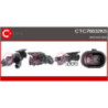Turbocompresseur CASCO