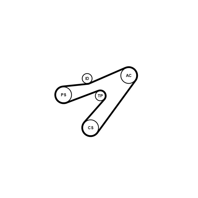 Kit de courroies d'accessoire CONTINENTAL CTAM