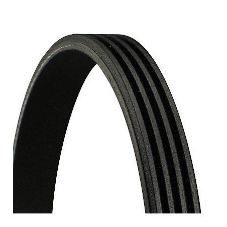 Courroie d'accessoire CONTINENTAL CTAM