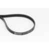 Courroie d'accessoire CONTINENTAL CTAM
