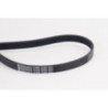 Courroie d'accessoire CONTINENTAL CTAM