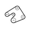 Kit de courroies d'accessoire CONTINENTAL CTAM