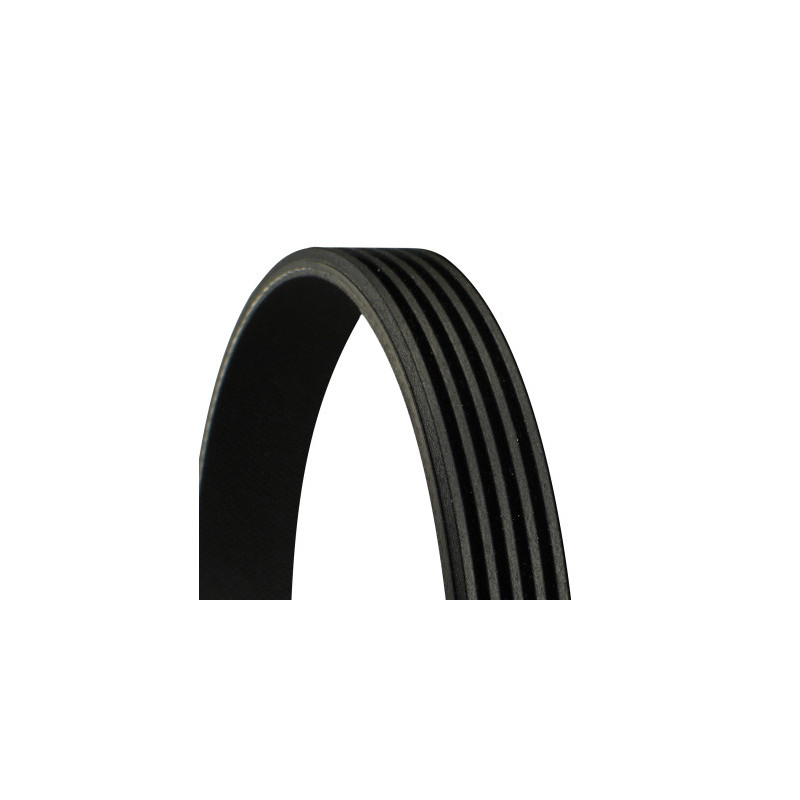 Courroie d'accessoire CONTINENTAL CTAM