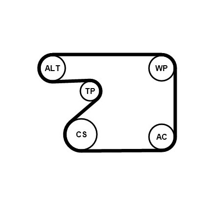 Kit de courroies d'accessoire CONTINENTAL CTAM