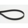Courroie d'accessoire CONTINENTAL CTAM