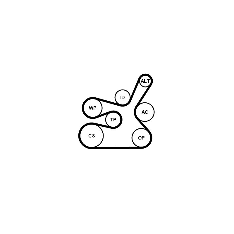 Kit de courroies d'accessoire CONTINENTAL CTAM