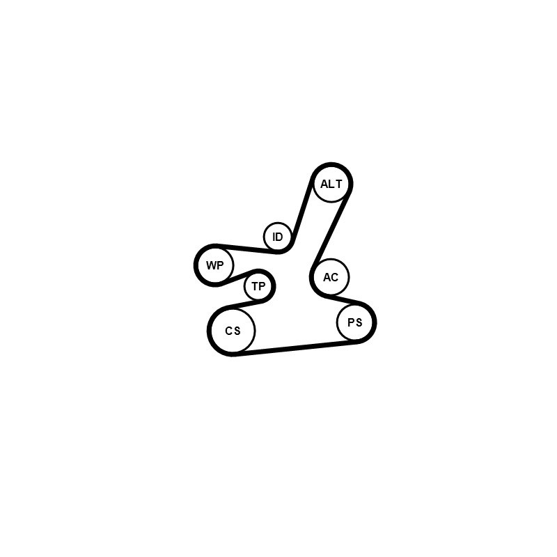 Pompe à eau+Jeu de courroie trapézoïdale à nervures CONTINENTAL CTAM