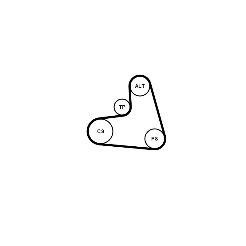 Kit de courroies d'accessoire CONTINENTAL CTAM