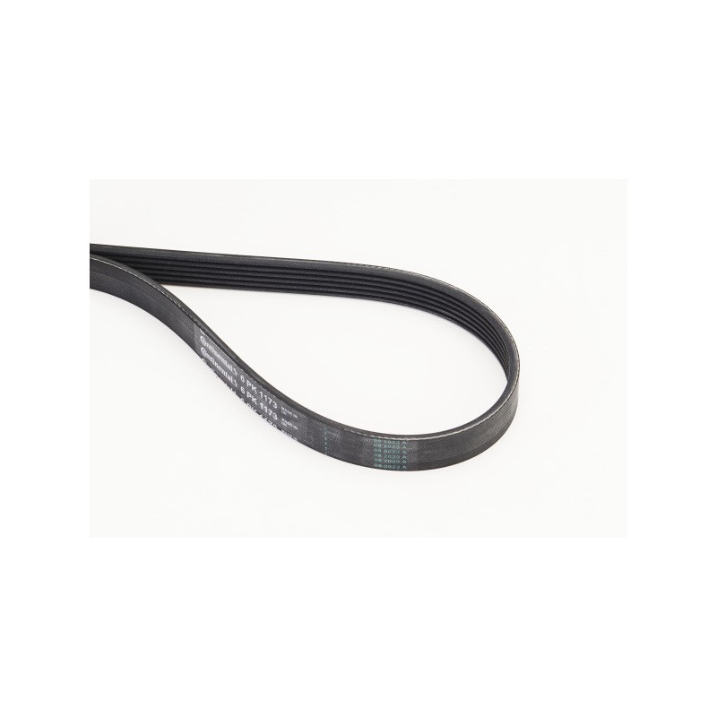 Courroie d'accessoire CONTINENTAL CTAM