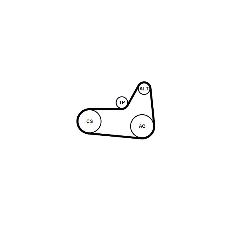 Kit de courroies d'accessoire CONTINENTAL CTAM