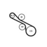 Kit de courroies d'accessoire CONTINENTAL CTAM