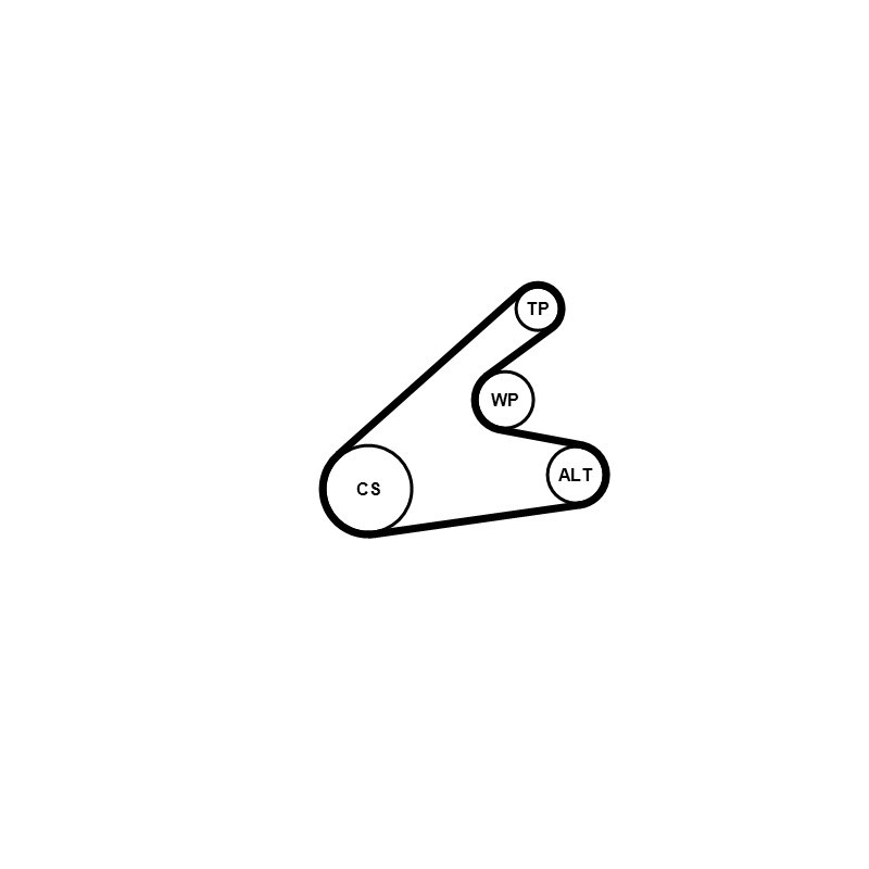 Pompe à eau+Jeu de courroie trapézoïdale à nervures CONTINENTAL CTAM